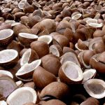 Copra Round and Half Cut