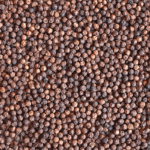 Black Pepper Small
