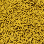 ERODE TURMERIC FINGER