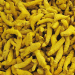 MINI SALEM TURMERIC FINGER